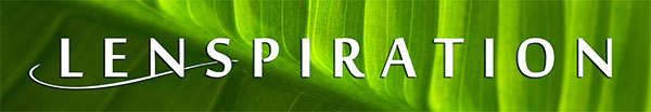 Lenspiration logo