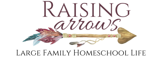 Raising Arrows Ministry logo